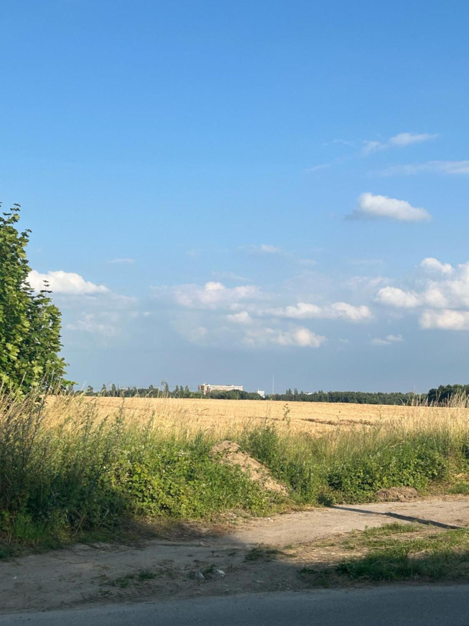 Ferienwohnungen Mit Feldblick Schwerin  Ngoại thất bức ảnh